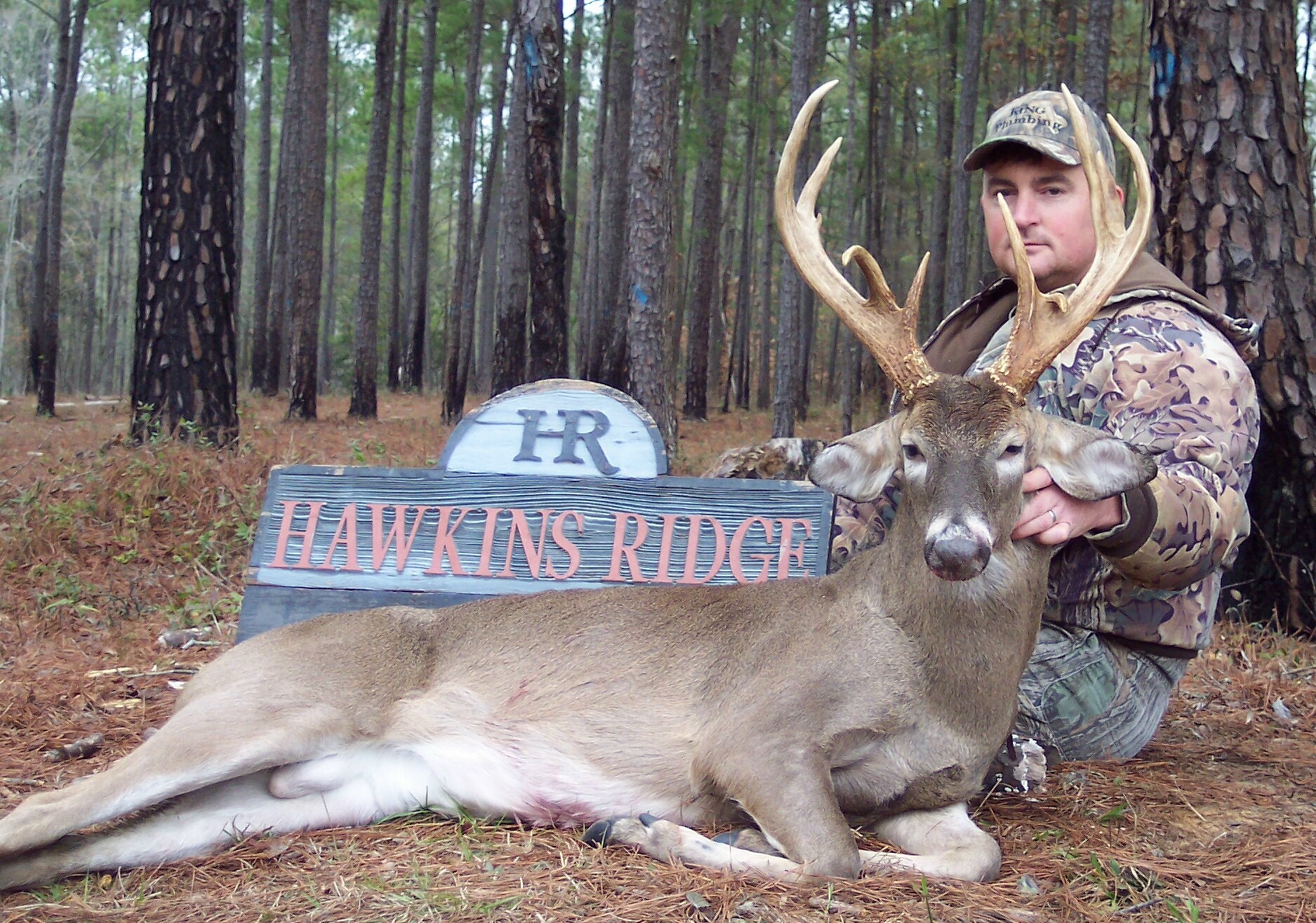 Alabama deer hunting