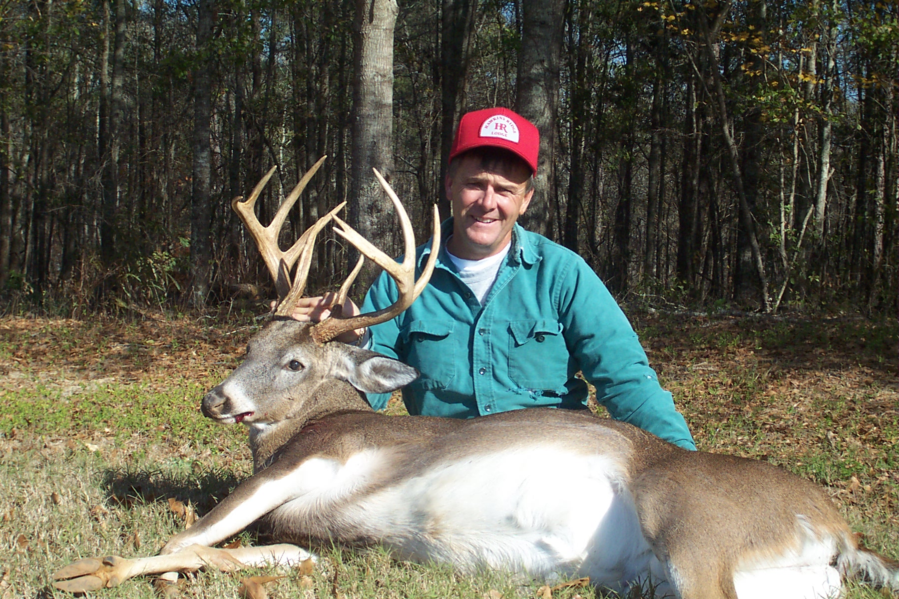 whitetail deer hunting Alabama