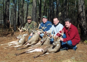 whitetail deer hunting Alabama